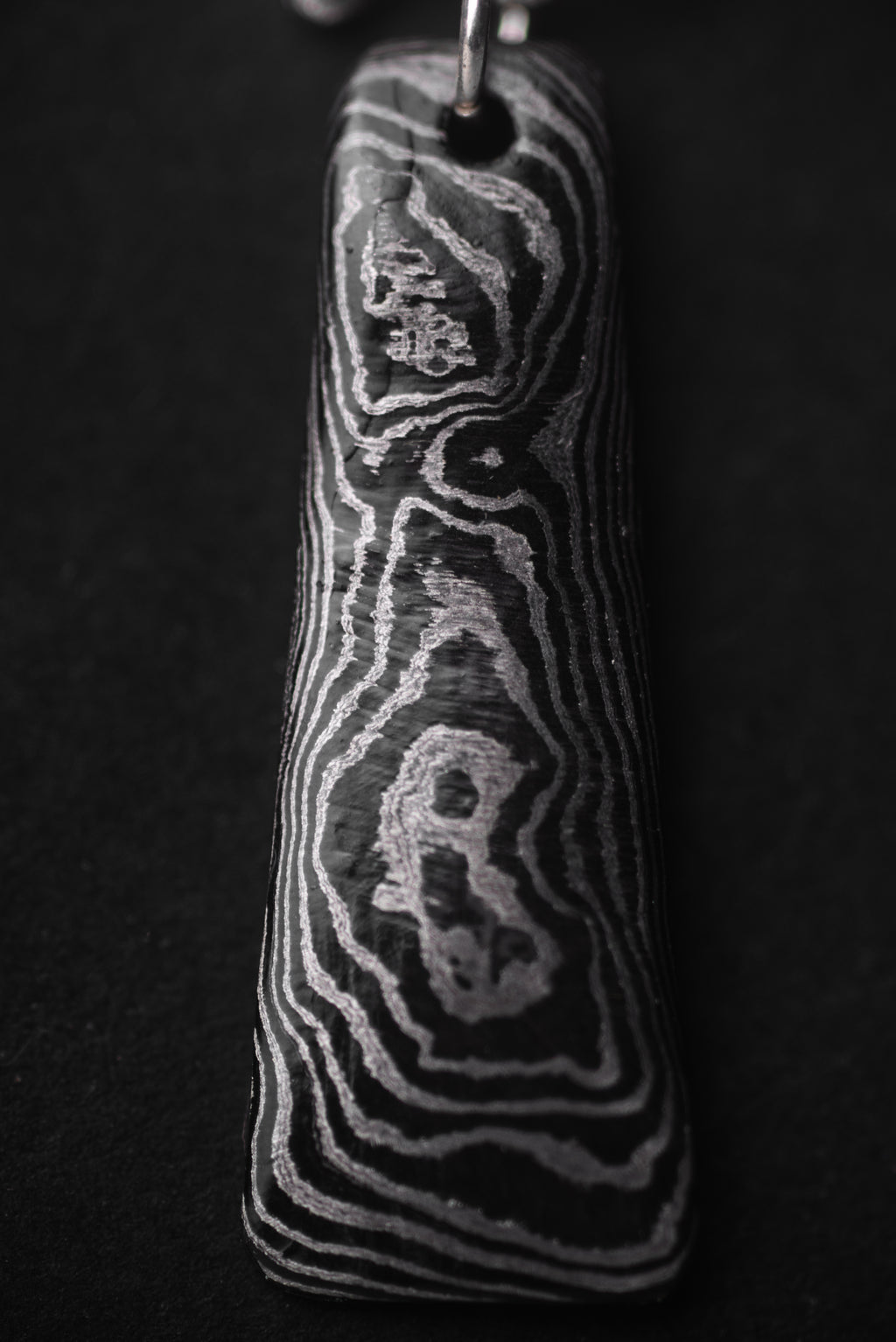 Dwirupa Stud Earrings