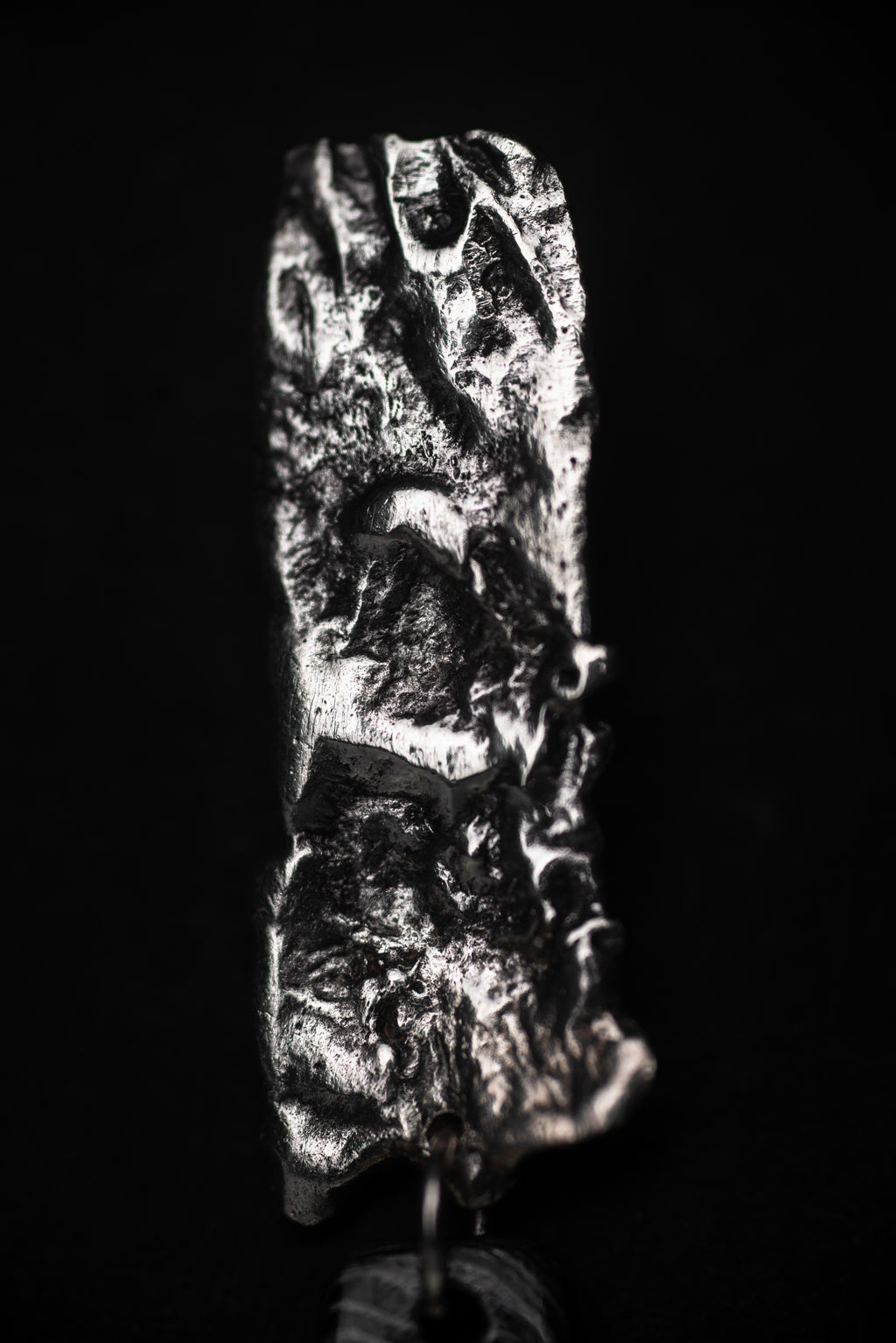 Dwirupa Stud Earrings