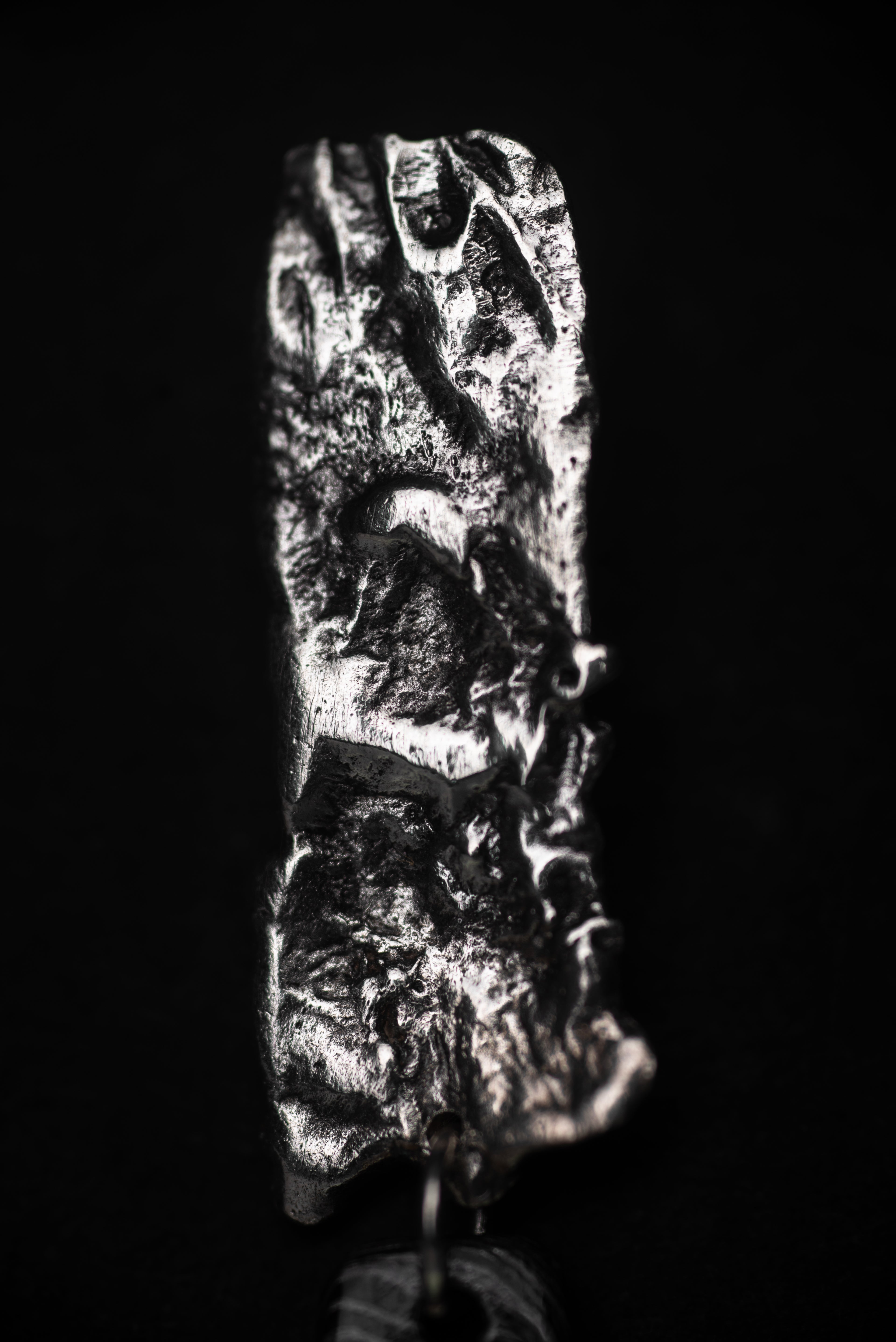 Dwirupa Stud Earrings